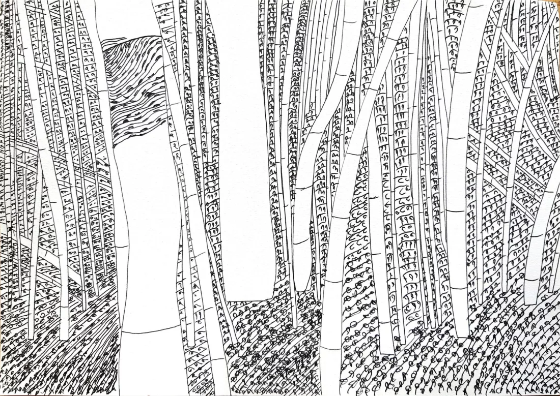 Une recherche graphique en amont
